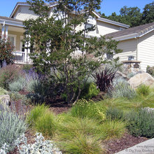 Outside House