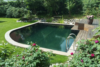 Naturpool Gentofte - 37 m2 vandspejl