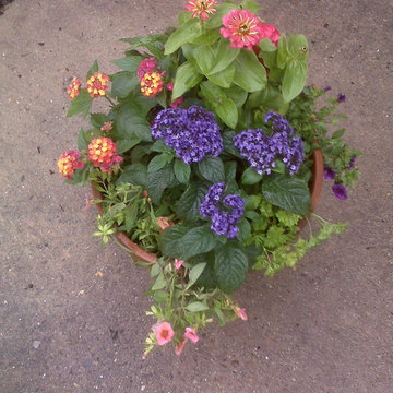 Container Gardens