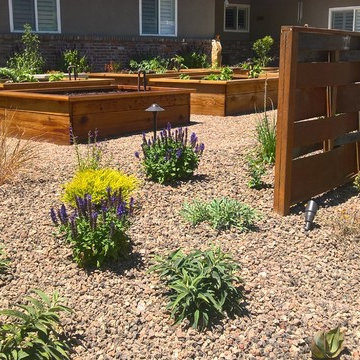 Edible Garden with Whimsy - Lawn removal project