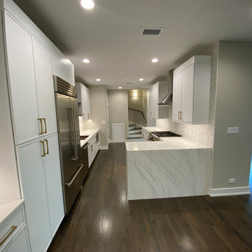 Lincoln Park Elegant full home renovation