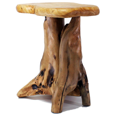 Unique Root End Table