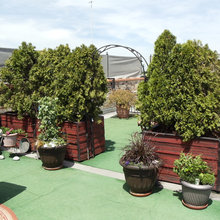 Rooftop gardens