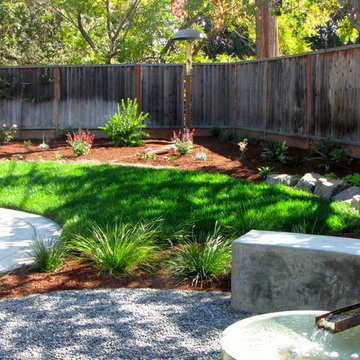 Cupertino Contemporary