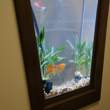 Aquarium Wall Divider in Cranford, New Jersey