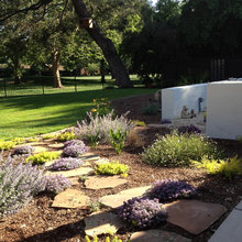 apotter's ideas - front yard