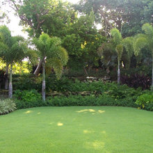 Landscape Ideas