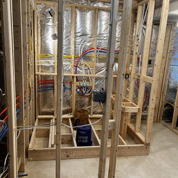 Basement Remodel