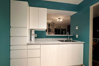 Budget Condo Kitchen Reno