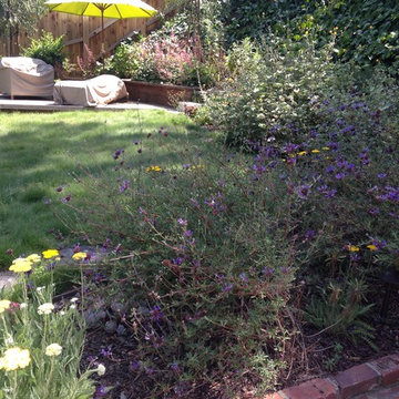 Hollywood Hills Back Yard