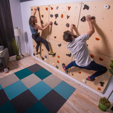Living Room Climbing Wall