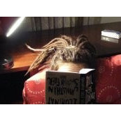Flavia Cimpean's photo