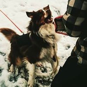 Joanie Dion's photo