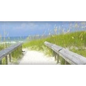 Mary Burleson's photo
