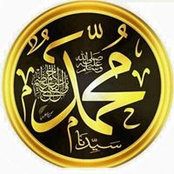 Sammer Alfeky's photo