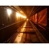 Olivier Mathieu's photo