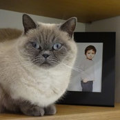 erikoh's photo