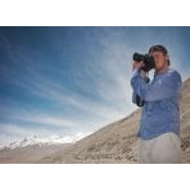 Haas Colbys foto