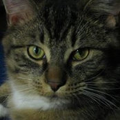 Terri Fox's photo
