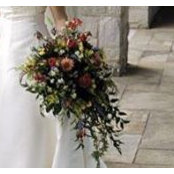 Donna Schrimpf's photo