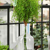 Serene Spaces Living Terrarium Vase with Cork, Long Neck