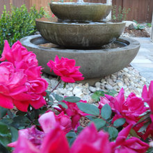 Water Fountain
