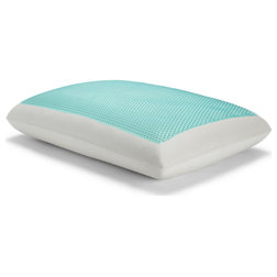 Traditional Bed Pillows by Sealy