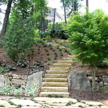 sloping side yard