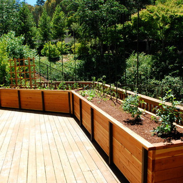 JD Garden, Hillsborough