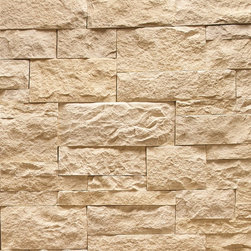 Cut Coarse Stone Oyster - Productos