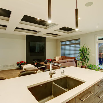 Open Concept Fireplace Feature Wall | Fonthill, ON
