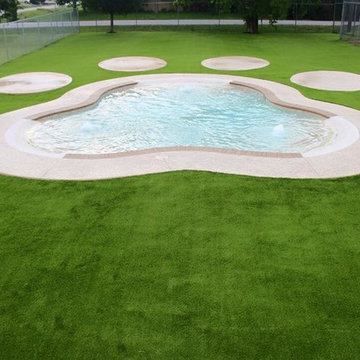 Doggy Splash Pad