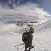 Harrison Weinstein's photo