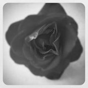 Foto de Roz Itah
