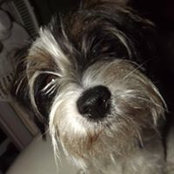 Sharon Buck's photo