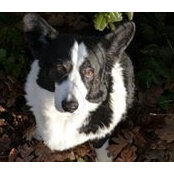 Louise Sargent's photo