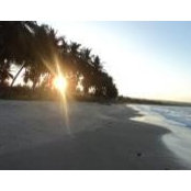 Hans Mgumba's photo