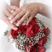 Karen Shaffner's photo