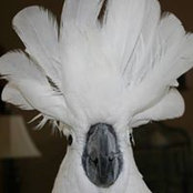 Debbie Snider's photo