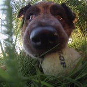 Susan Michalowski's photo