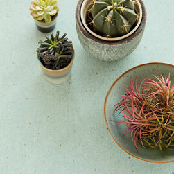 Residential Wallpaper | Vintage Boutique Collection - Wallpaper