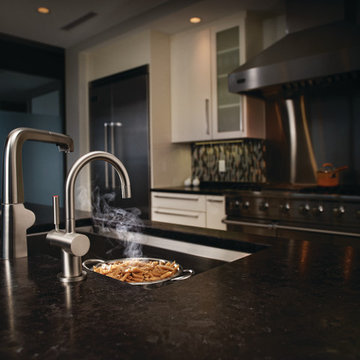 InSinkErator Indulge Modern Hot/Cool Faucet (FHC3300)