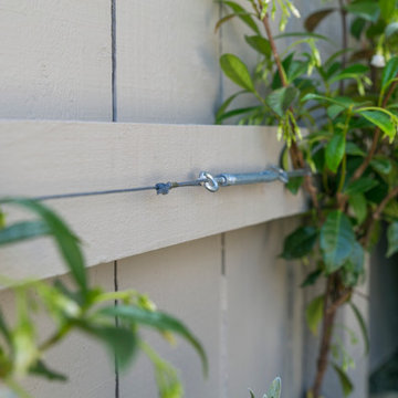 A tiny back garden