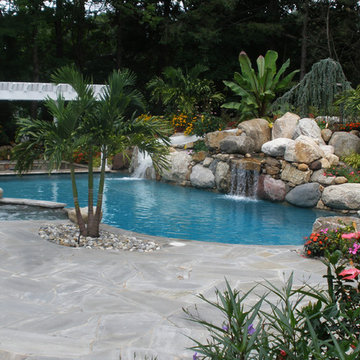 The Tropics in the suburbs