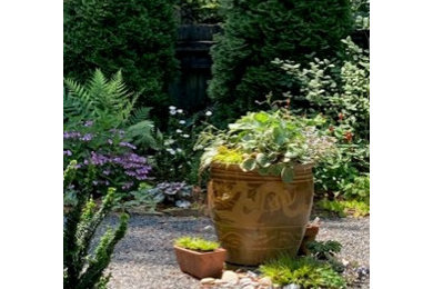 Design ideas for a backyard landscaping in Raleigh.