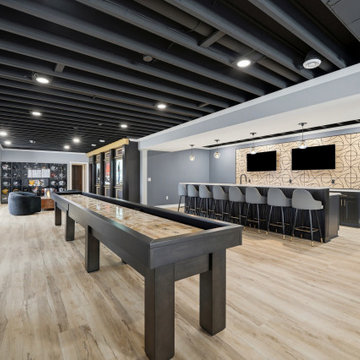 Custom Theater Focused Basement - Delafield, WI