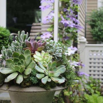 Rosebrook Garden 2017 Garden Tour