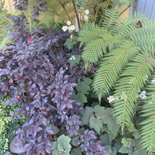 810 McFarlane Landscaping