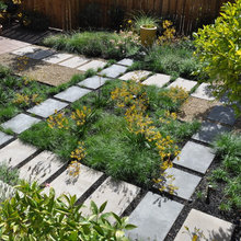 Area Outside Kitchen Window