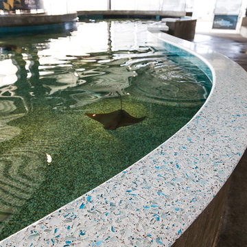 Shark Tank